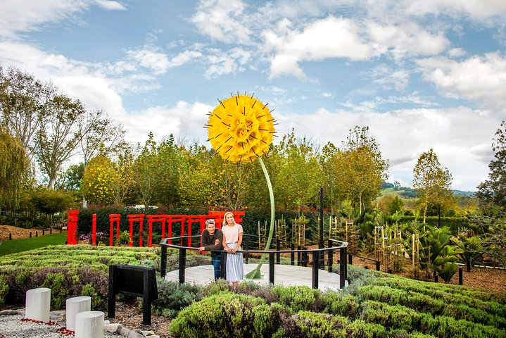 Private tour - Matakana Art & Wine Village - Photo 1 of 10